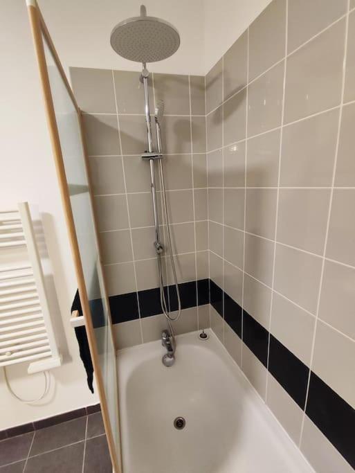 Ferienwohnung T2 Avec Jardin Proche Aeroport, Airbus, Meet Daux Exterior foto